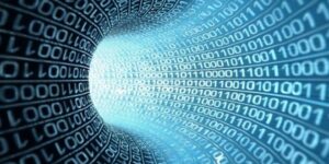 macro_image_march_2019