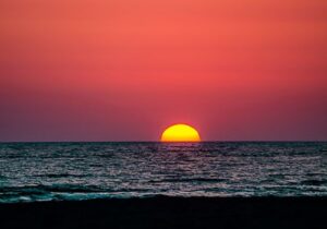 macro_image_sept_2019