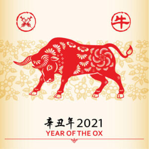 macrodeck_february_2021