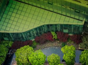 A green modern building among the trees